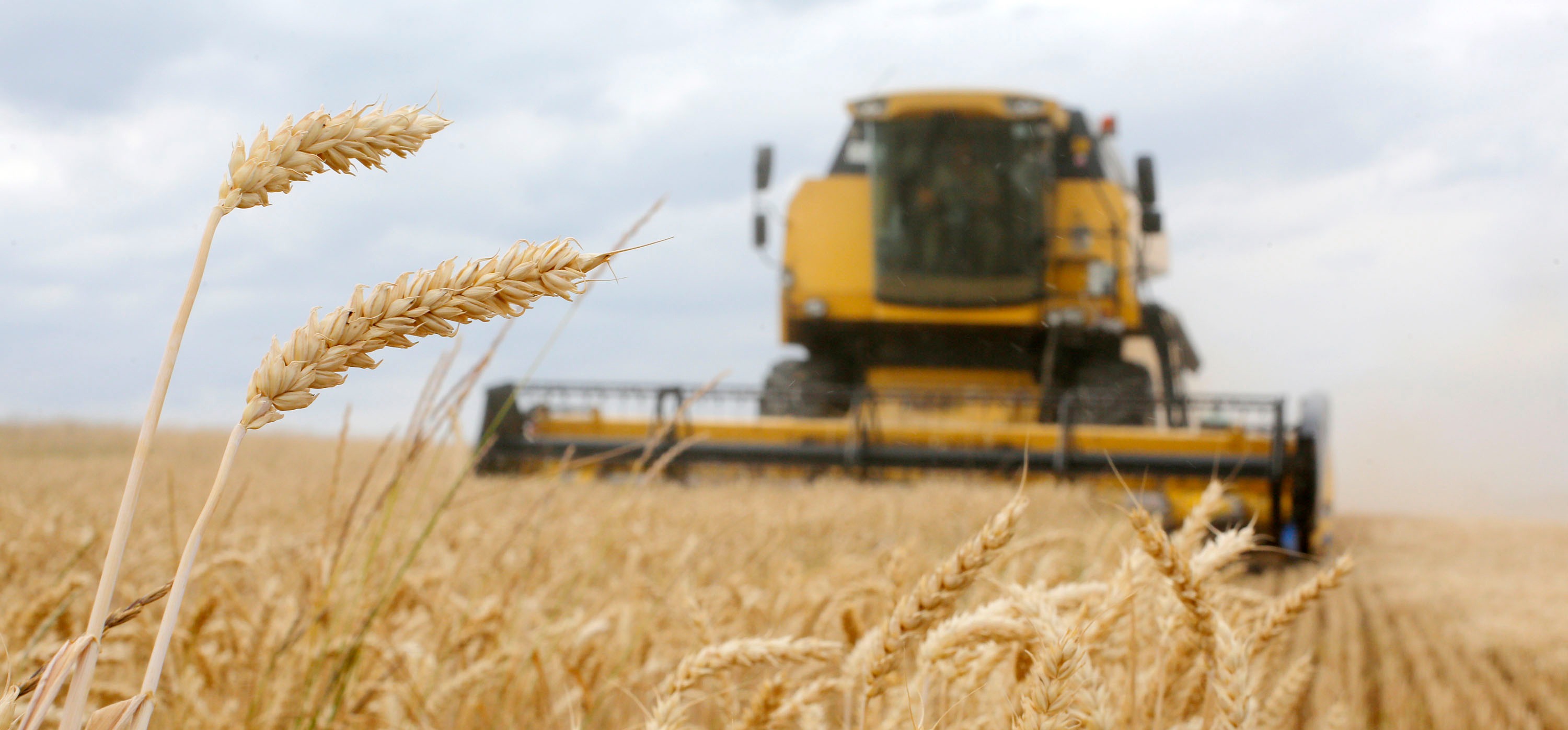 Baisse des prix internationaux des céréales, des huiles végétales et du sucre